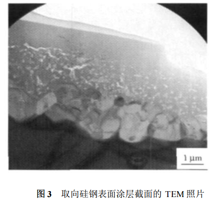 取向硅鋼表面涂層截面的 TEM 照片